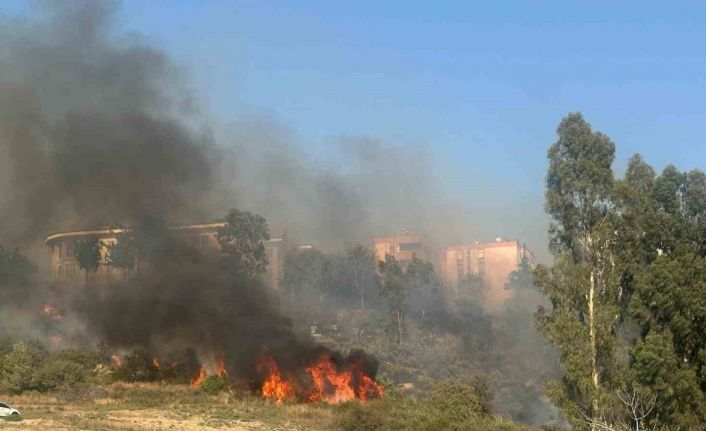 Adana’da yerleşim yeri çevresinde ağaçlık alanda çıkan yangın korkuttu