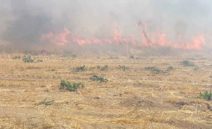 Adilcevaz’da arpa tarlasında yangın
