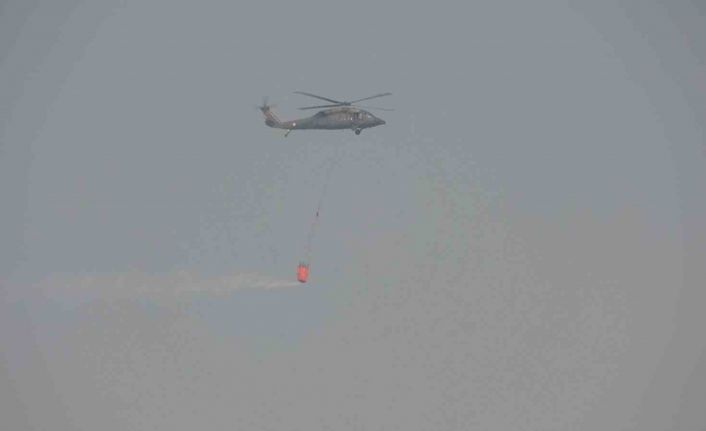 Adıyaman’daki orman yangını kontrol altına alındı