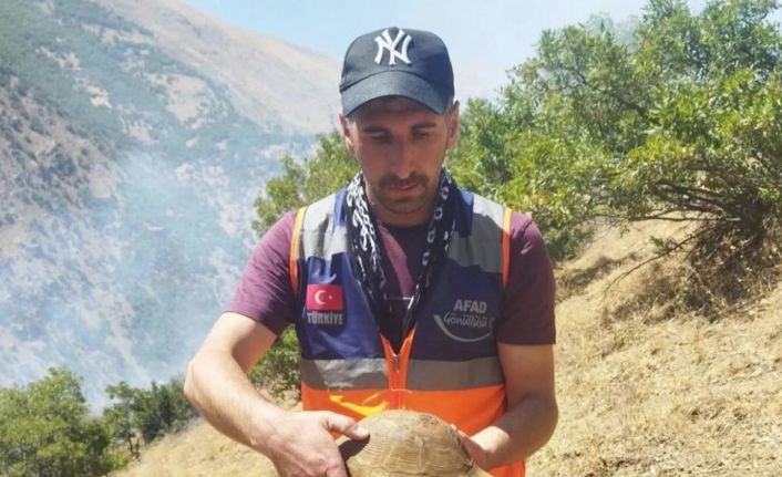 AFAD gönüllüsü yangın bölgesindeki kaplumbağayı kurtardı