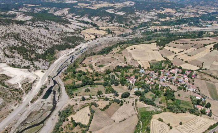 Ağaçlara adanmış ömür: 32 senede binlerce fidan dikti
