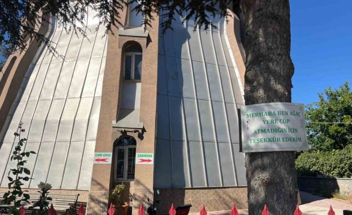 Ağaçlarda çevreye duyarlılık mesajları