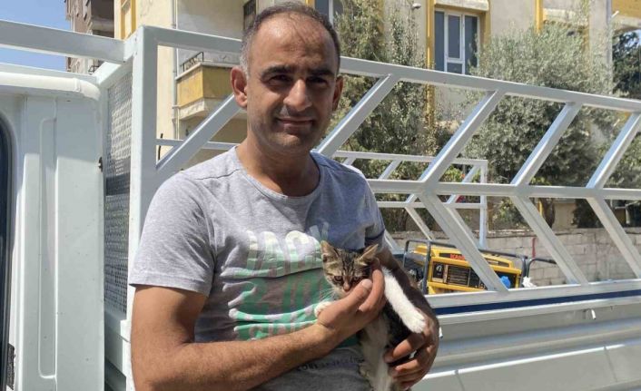 Ağaçta mahsur kalan yavru kedi vatandaşın dikkatiyle kurtarıldı