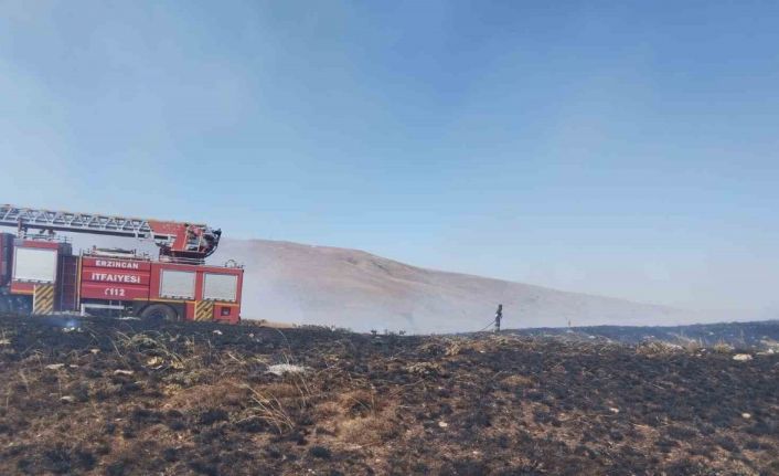 Ahmediye Geçidinde örtü yangını söndürüldü