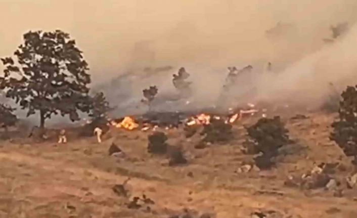 Aksaray’da ağaçlık alanda yangın