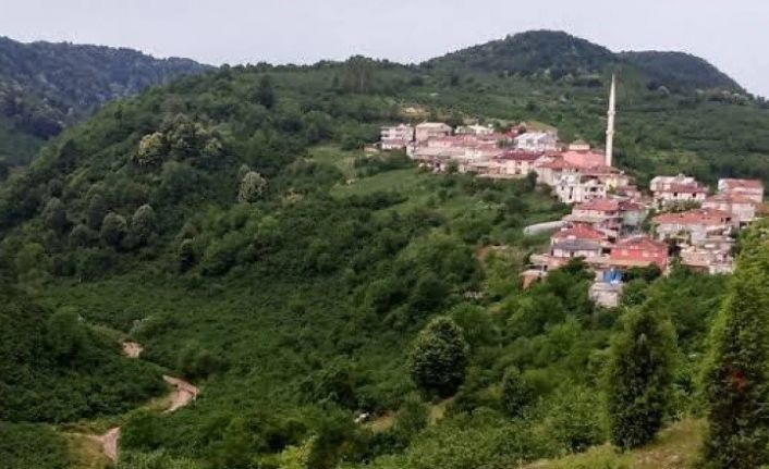 Alaplı’da 5 köyde seçim heyecanı yaşanacak