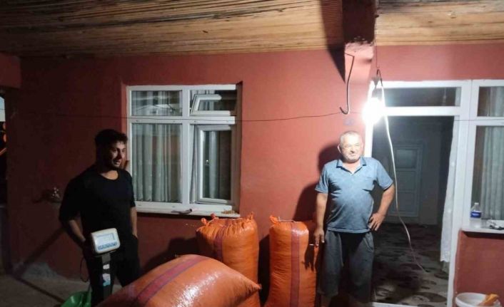 Alaplı’da hasat edilen fındıklar satışa çıktı