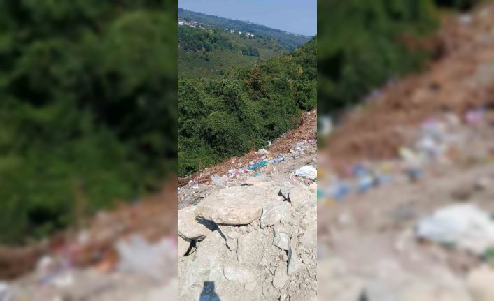 Alaplı’da yol kenarına bırakılan çöpler çevre kirliliğine yol açıyor