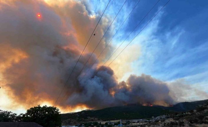 Alevler çiftlikleri tehdit etti, hayvanlar kurtarıldı