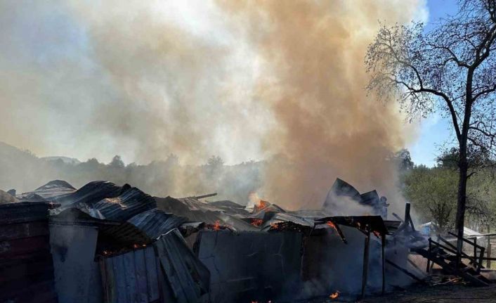 Alevlere teslim olan samanlık kullanılamaz hale geldi