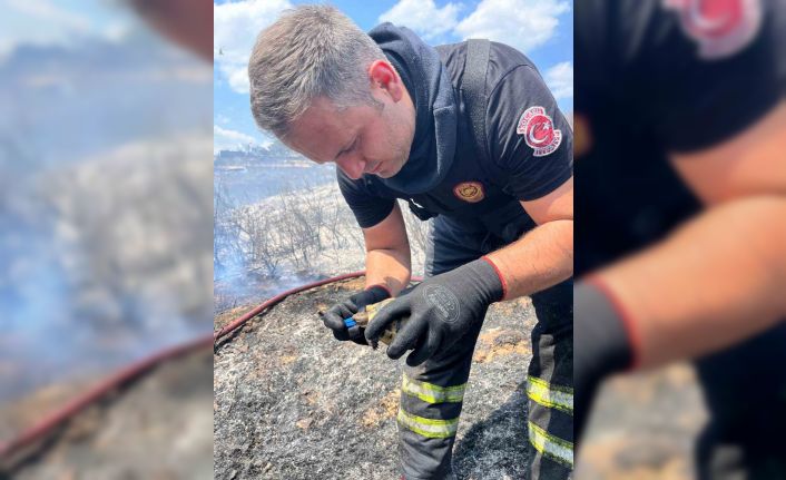 Alevlerin ortasında bir damla hayat