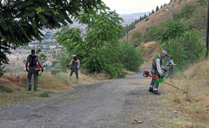 Ali Dağı’nda yangına karşı üst düzey önlem