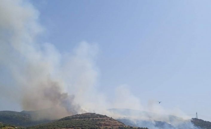 Aliağa’da makilik alanda yangın