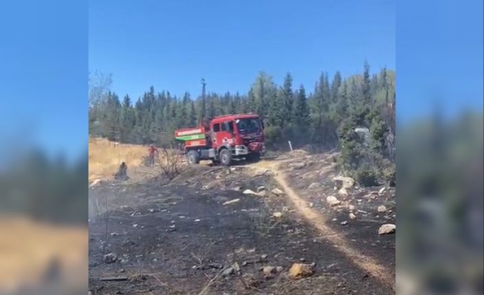Aliağa’da ormanlık alanda çıkan yangın hızlı müdahale ile söndürüldü