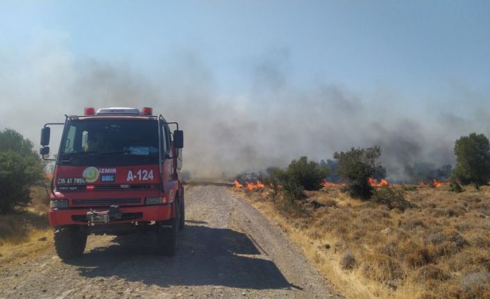 Aliağa’da otluk ve makilik alanda korkutan yangın