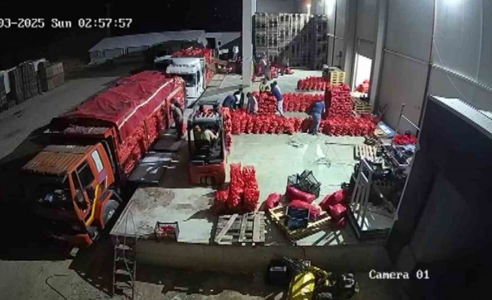 Amasya soğanı Avrupa’ya satılıyor