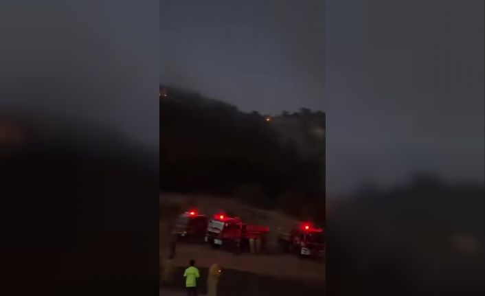 Amasya Valisi Bakan: "Yangının çevreye yayılması engellenecek şekilde kontrolleri sağlandı"