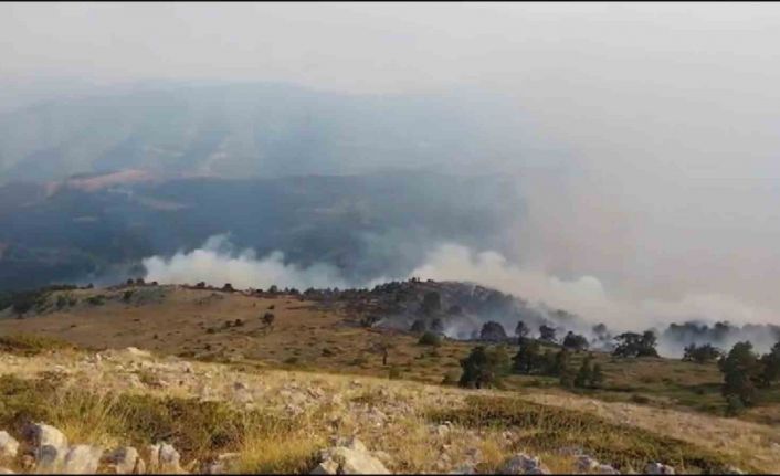 Amasya’da orman yangını