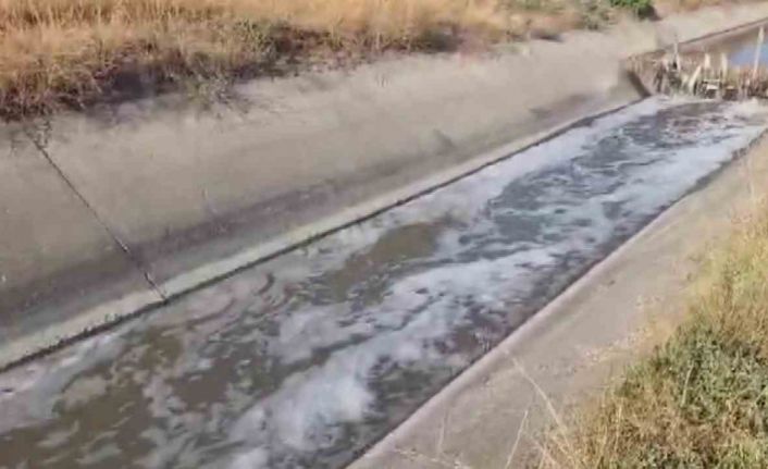 Amasya’da sulama kanalı kirlilikten köpürdü, balık ölümleri görülmeye başladı