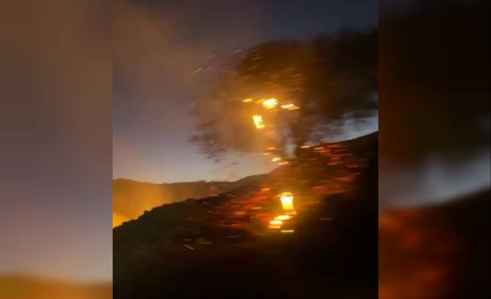 Anız yangını bahçeye sıçradı