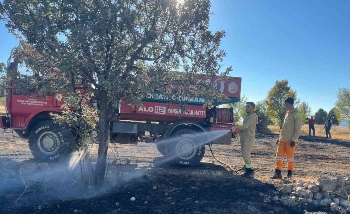 Anız yangını ormana sıçramadan söndürüldü