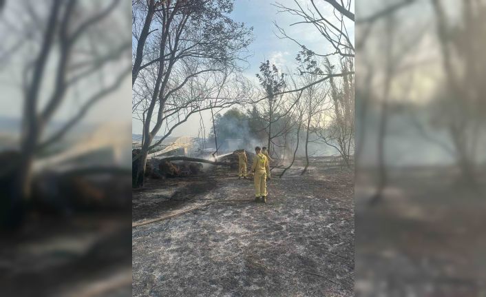 Anız yangınına itfaiye ekipleri müdahale etti