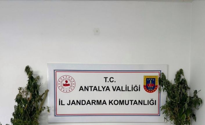 Antalya’da uyuşturucu operasyonu