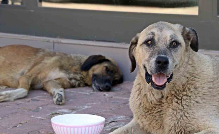 Antalya’nın denizi bile yanıyor:  Termometreler 45, deniz suyu 32 derece