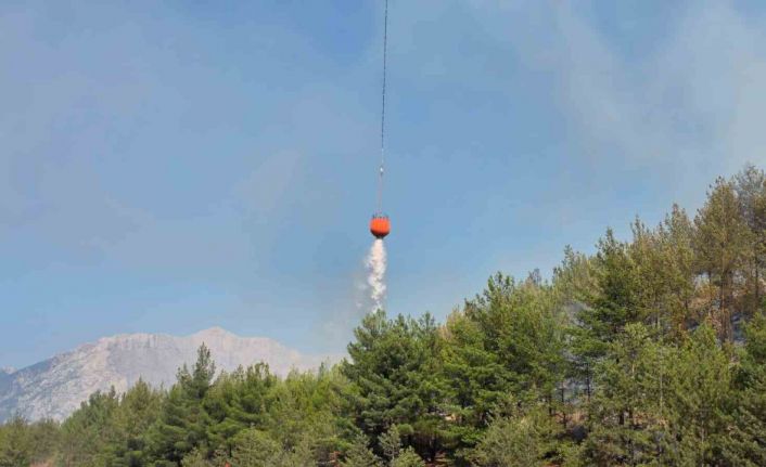 Aracın neden olduğu orman yangını kontrol altına alındı