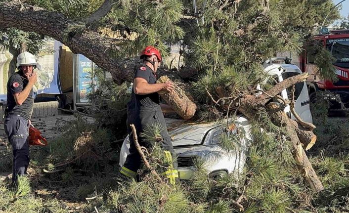 Aracıyla düz yolda giderken kabusu yaşadı