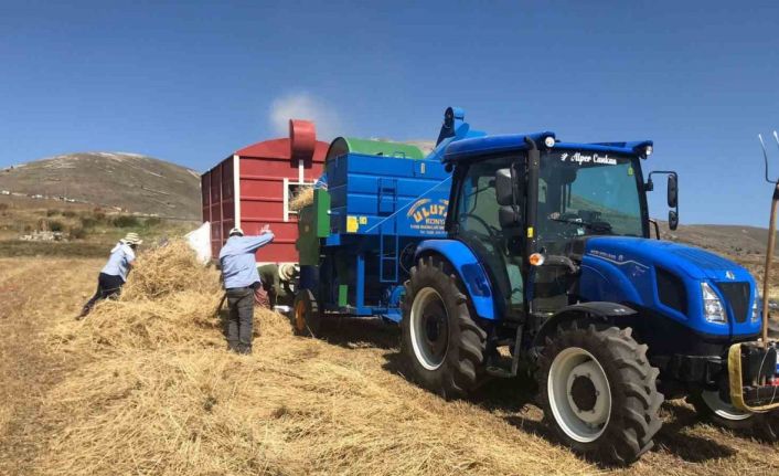 Ardahan’da güneş altında patoz mesaisi