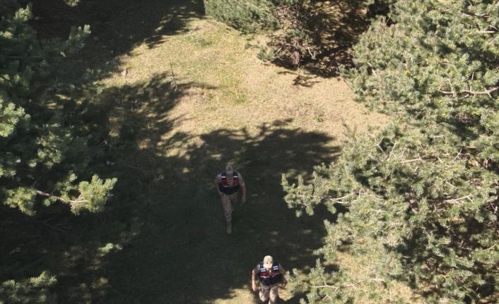 Ardahan’da jandarma ekipleri ormanlık alanlarda denetimlerini sıklaştırdı