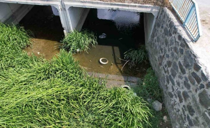 Arnavutköy’de dere yatağındaki kirlilik endişelendiriyor