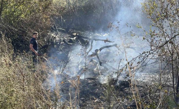 Arnavutköy’de yangın çıkarıp itfaiyecilere saldıran şahıs gözaltına alındı