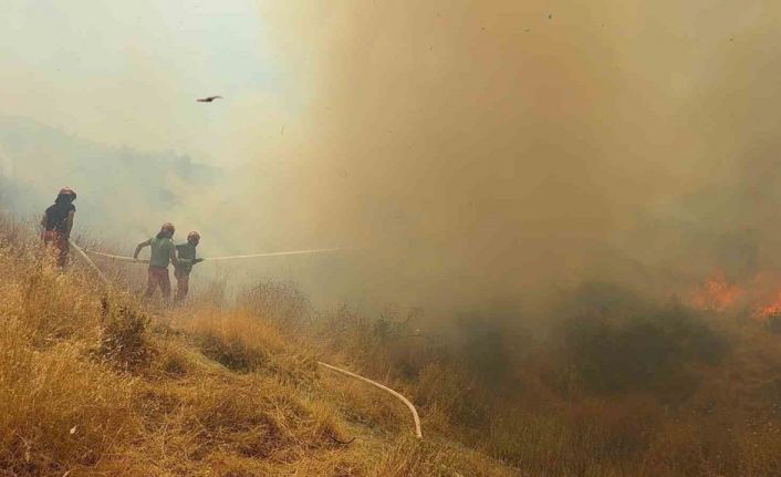 Arnavutluk’ta orman yangını: 1 ölü, 8 yaralı