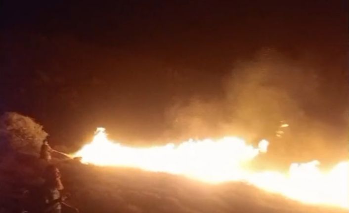 Avşa Adası’nda çıkan arazi yangını kontrol altına alındı