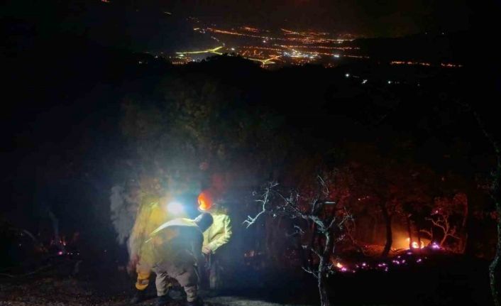 Aydın - Denizli sınırında çıkan orman yangını kontrol altına alındı