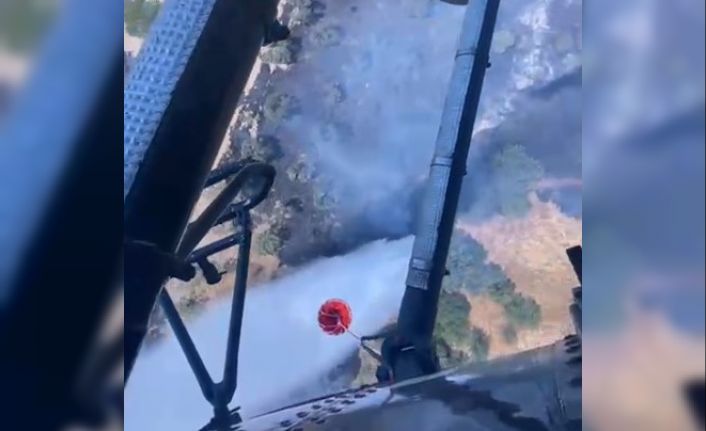 Aydın zirai alan yangını kontrol altına alındı