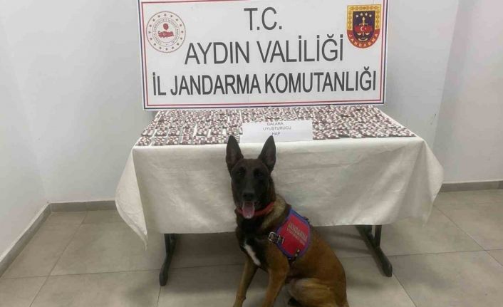 Aydın’da jandarmadan uyuşturucu operasyonu: 3 gözaltı