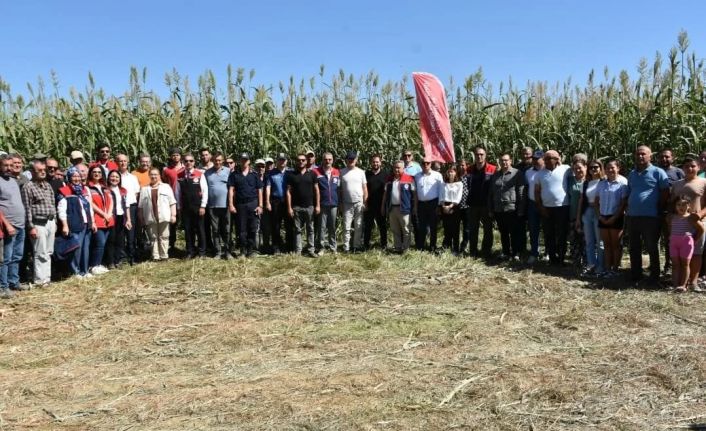 Aydın’da kaba yem açığını kapatacak proje meyvelerini veriyor