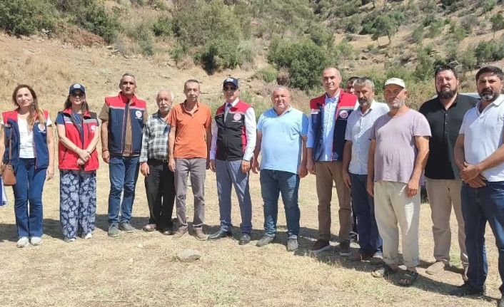 Aydın’da mera ıslah projeleri sürüyor