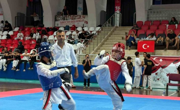 Aydın’da Minikler Taekwondo Şampiyonası İl Seçmeleri gerçekleştirildi