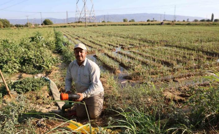 Aydın’da su kıtlığı çiftçilerin mesai saatlerini değiştirdi