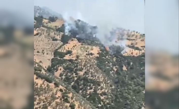 Aydın’da zirai alandaki yangını söndürme çalışmaları devam ediyor