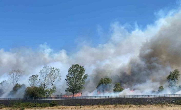 Ayvacık’ta çöplük alanda çıkan yangın ormana sıçradı