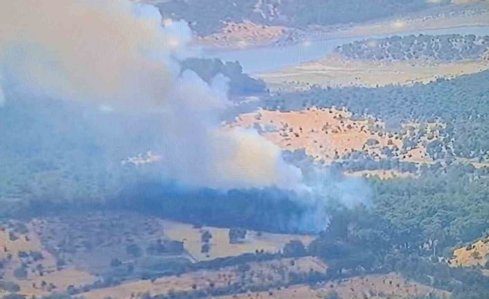 Ayvacık’ta ormanlık alanda yangına, müdahale devam ediyor