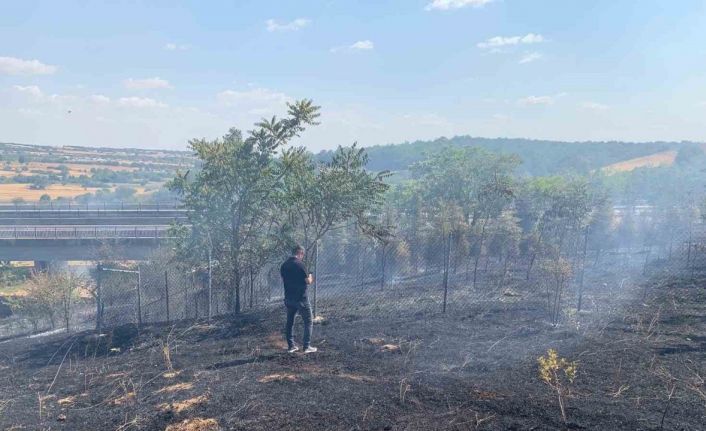 Babaeski’de ağaçlık alanda çıkan yangın söndürüldü