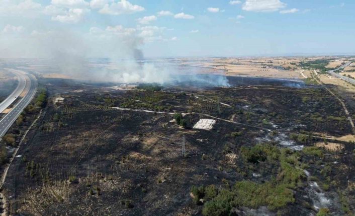 Babaeski’de yanan ormanlık alan havadan görüntülendi