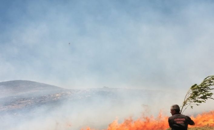 Bahçesaray’da arazi yangını