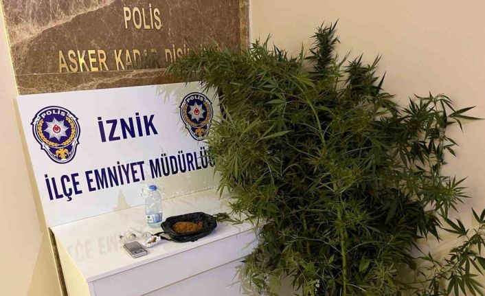 Bahçesinde hint keneviri yetiştiren kişiler tutuklandı